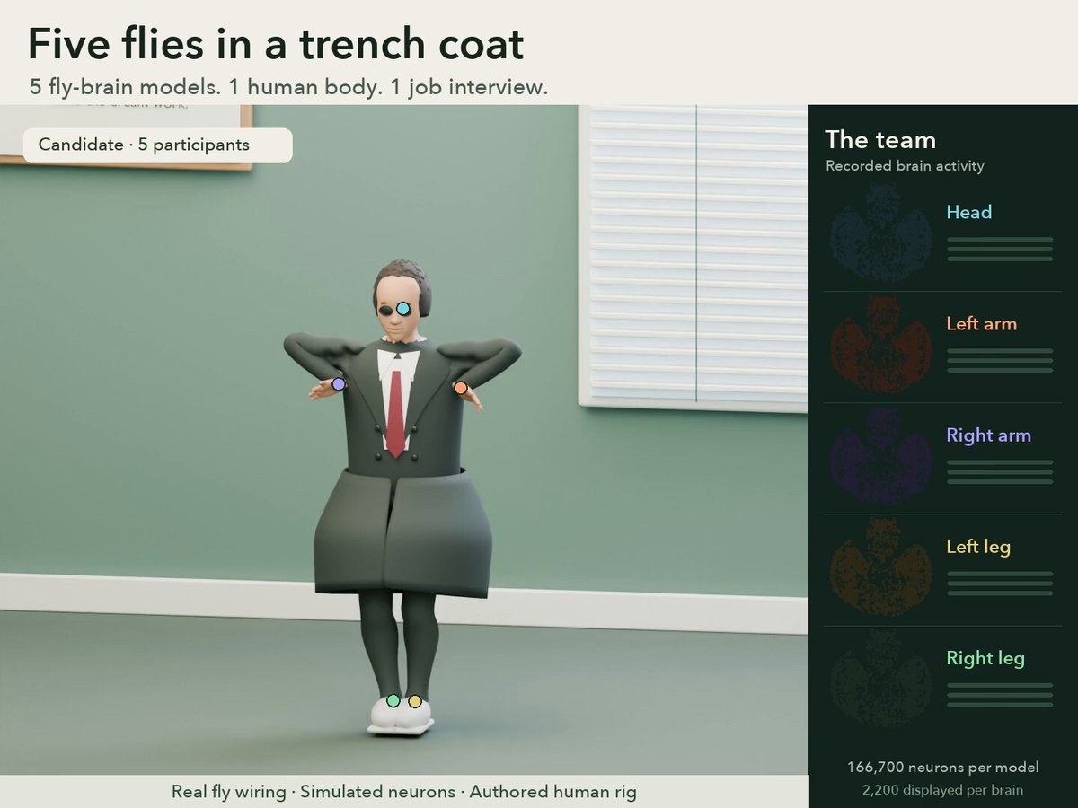 five flies in a trench coat